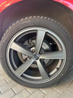 Ganzjahresreifen   255/40 R19 19 Zoll  Felgen VW T6 Sachsen-Anhalt - Hansestadt Seehausen Vorschau