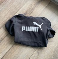 Pullover Hoodie Puma Gr. 152 Nordrhein-Westfalen - Paderborn Vorschau