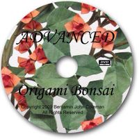 2 DVDs (Advanced) Origami Bonsai, B.J. Coleman engl. DVD-ROM Baden-Württemberg - Freiburg im Breisgau Vorschau