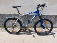 26 Zoll Mountainbike Giant Terrago Gr. L 53 cm RH guter Zustand Leipzig - Sellerhausen-Stünz Vorschau