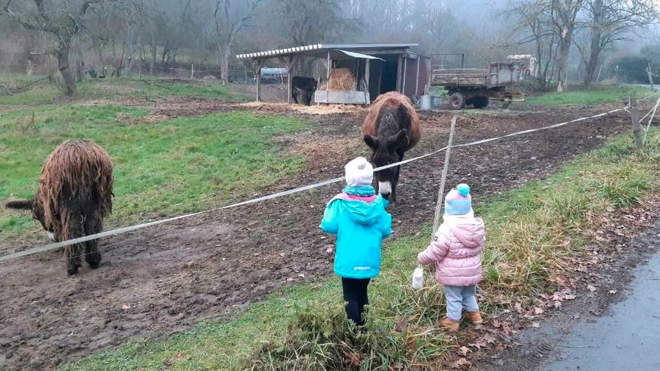 Tagesmutter Kinderbetreuung in Langgöns