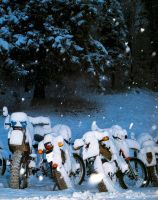 Winterlager für Motorräder inkl. Reinigung und Konservierung Schleswig-Holstein - Großharrie Vorschau