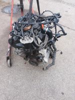 Motor VW 1,6 TDI CAY 163tkn Bayern - Greifenberg Ammersee Vorschau