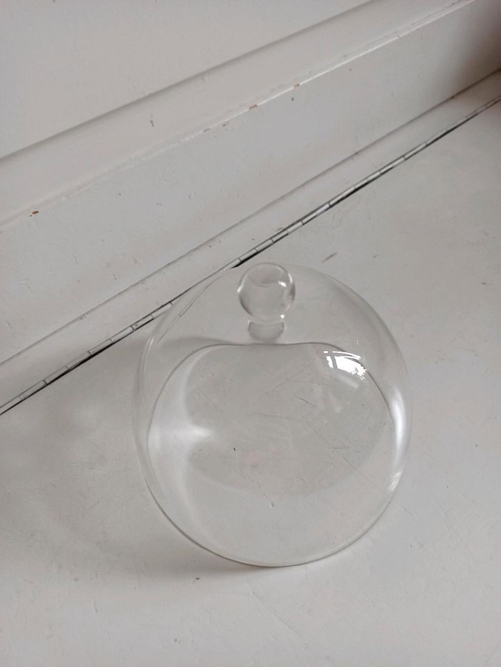 Käseglocke Glas Glasglocke in Goch