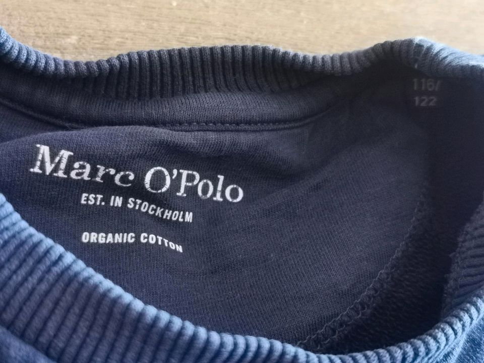 Marco Polo Pulli + Jeans Karl Lagerfeld in Berlin