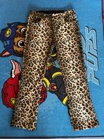 Lip Service Hose Leo Fellimitat Gothic Emo Punk Lolita Hamburg - Hamburg-Nord Vorschau