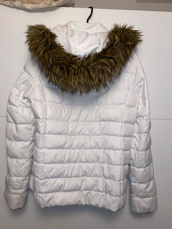 Tommy Hilfiger Winterjacke in Köln