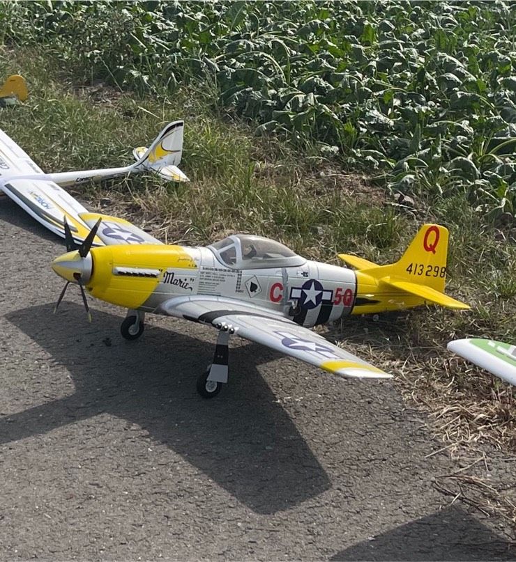 RC Flugzeug Mustang P51 1.40m in Duisburg