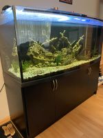 Aquarium ca. 500L zu verkaufen Aachen - Vaalserquartier Vorschau