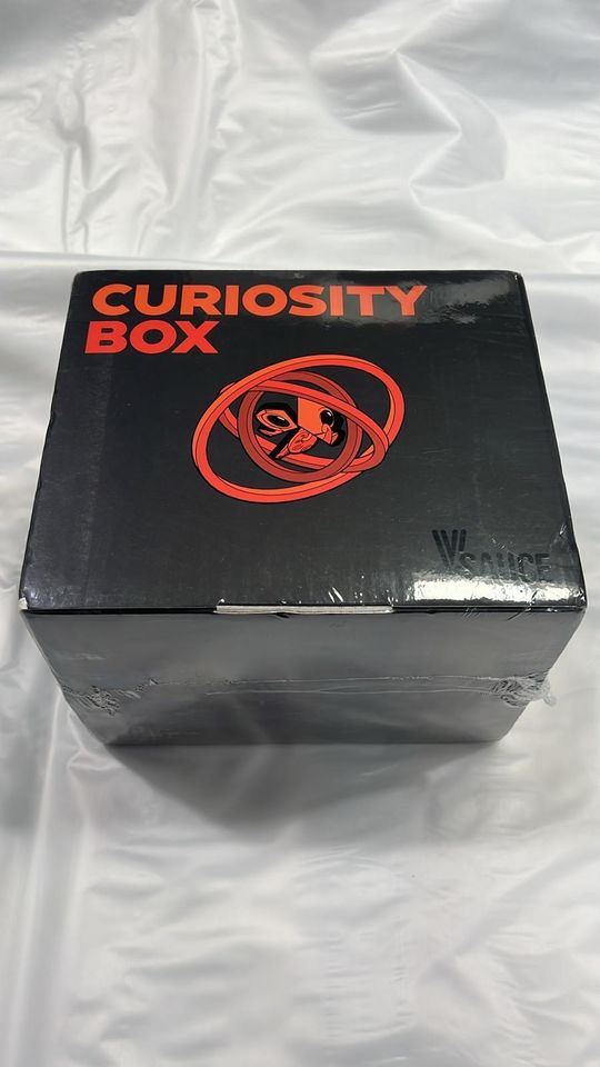 Curiosity Box, Denkspiel, Intelligenzspiel, Wissenschaftsspiel in Waltershausen