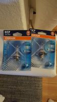 2 H7 osram original Lampen neu xenon look 4200 kelvin Brandenburg - Potsdam Vorschau