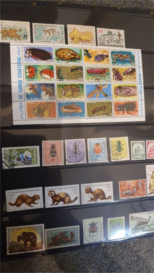 Briefmarkenalbum in Löwenberger Land-Löwenberg