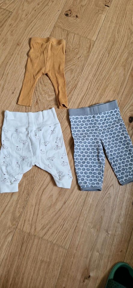 5× Babyhosen Größe 50 / 56 mit 2x Mützen H&M Name It Lupilu Baby in Maintal