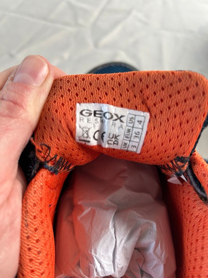 GEOX lights Sneaker Blinkies Gr. 37 blau/orange inkl. Versand in Kolbermoor