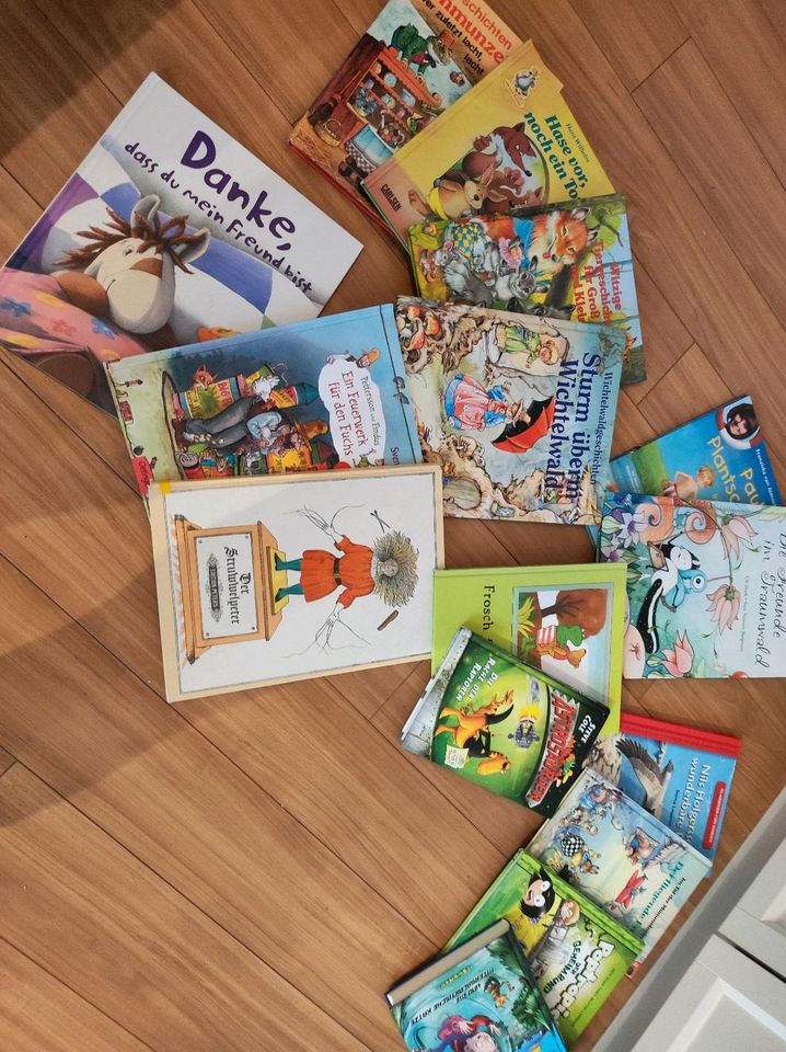 Gebrauchte Kinderbücher ( zb Disney usw ) in Freital