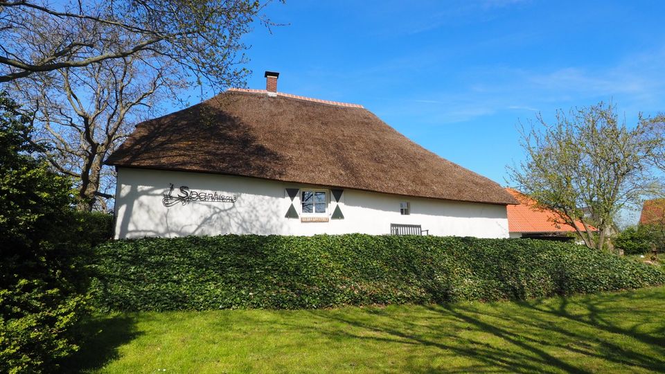 Charmante reetgedeckte Kate mit wunderschönem Grundstück am Rande des Dorfes !! in Kranenburg