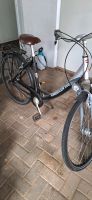 Kreidler Alu Damenrad 28 Zoll Silver Class/SLT Nordrhein-Westfalen - Bad Oeynhausen Vorschau