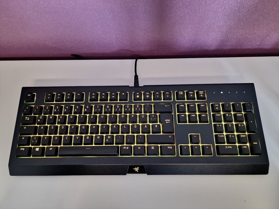 RGB Gaming Tastatur - Razer Cynosa Chroma in Plauen