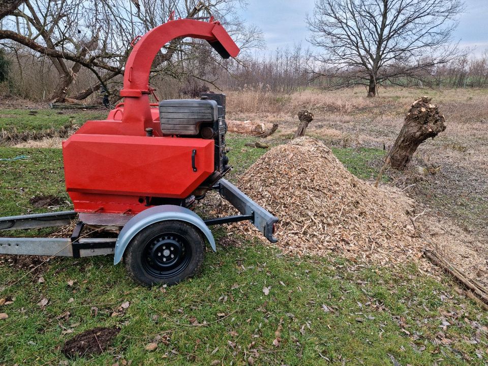 Jensen Häcksler A425 Hacker, Schredder,  Buschhackmaschine in Eilenburg