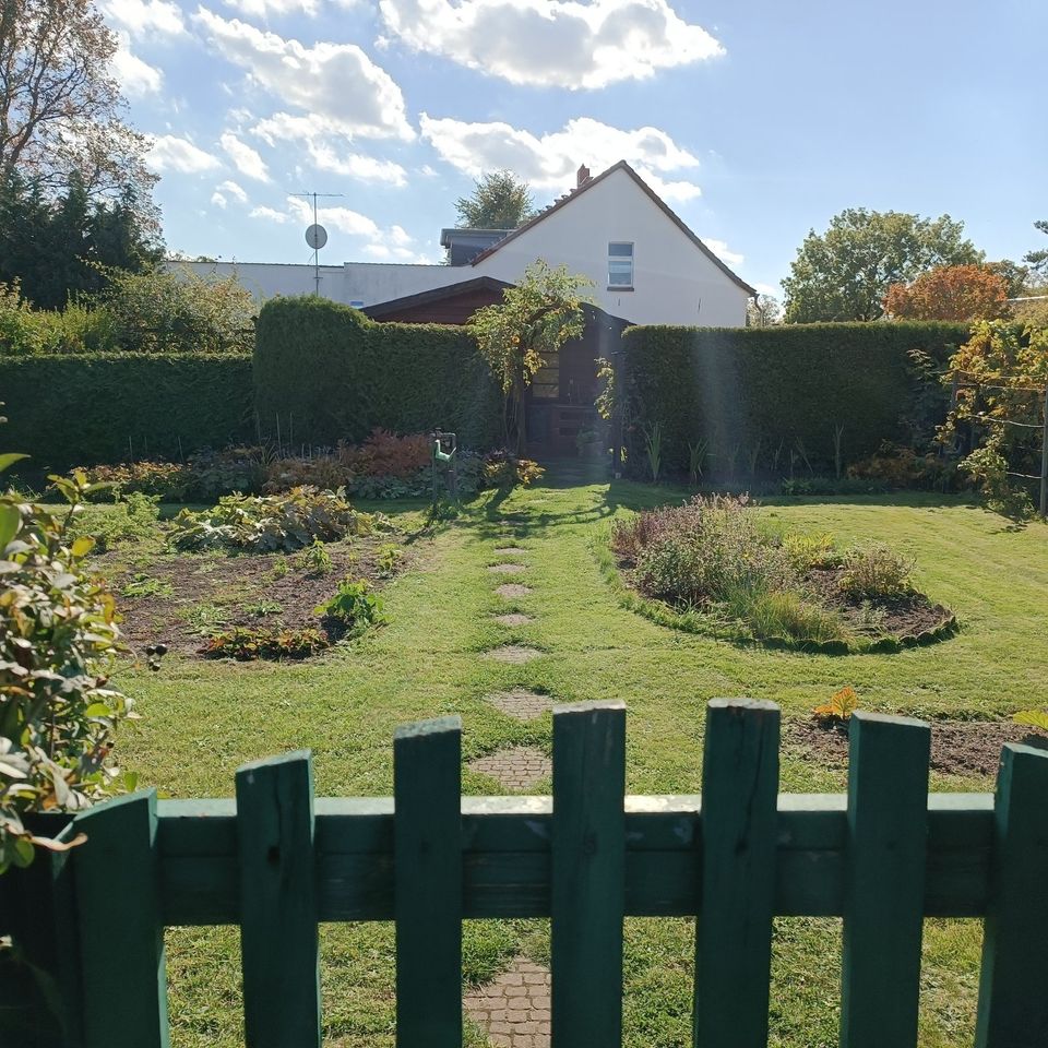 ✔️++Kleingarten Gartengrundstück Privatgrundstück zu Verpachten oder zu Verkaufen+++✔️ in Friedensstr., 15328 Küstriner Vorland(58km von Berliner Stadtgrenze) in Berlin