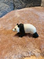 Schleich Panda Niedersachsen - Burgdorf Vorschau