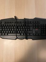 Trust Gaming Tastatur bunt GXT Harburg - Hamburg Wilstorf Vorschau