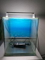 Nano Aquarium Nano Cube 30 L Baden-Württemberg - Nußloch Vorschau