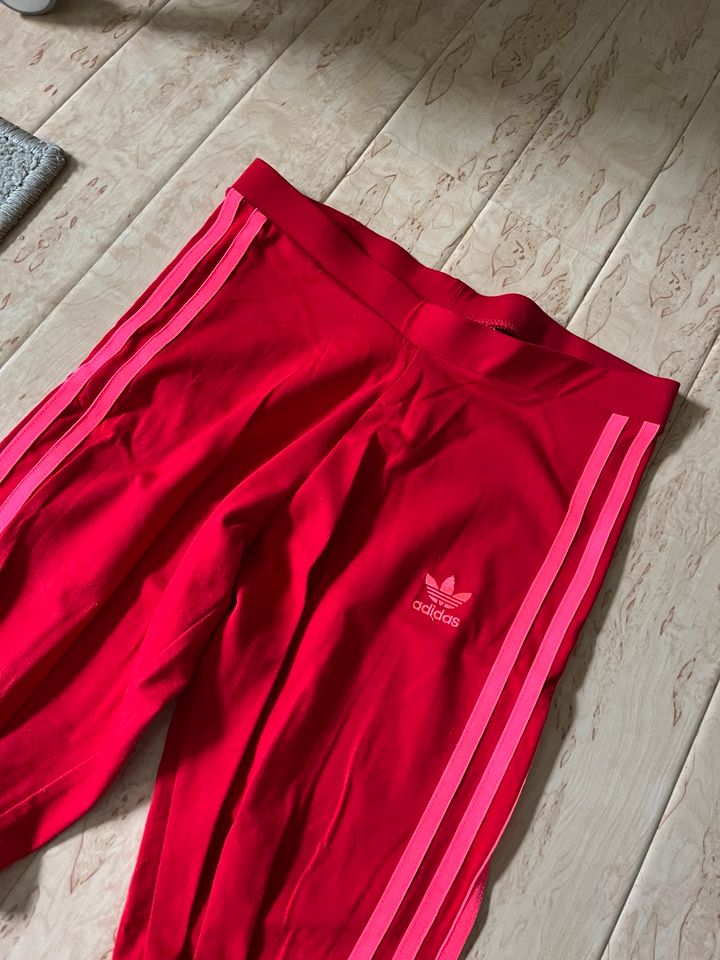 Adidas Sporthosen Leggins neu xs 164 in Rheurdt