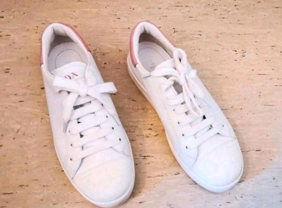 Prada Sneaker Schuhe Gr. 36 (neuwertig) in Eggenfelden