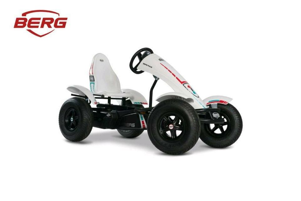 BERG Gokart RACE GTS E-BFR elektrischer Antrieb E-Bike Technik in Fröndenberg (Ruhr)