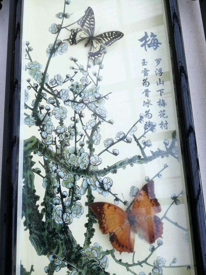 Asiatisches Bild mit echten Schmetterlingen in Weißensee