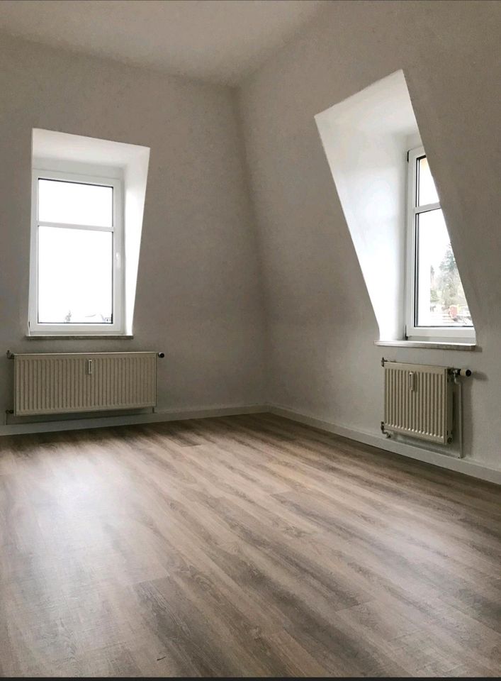 Schöne helle 3 Zimmer Wohnung in Heidenau 91qm in Heidenau