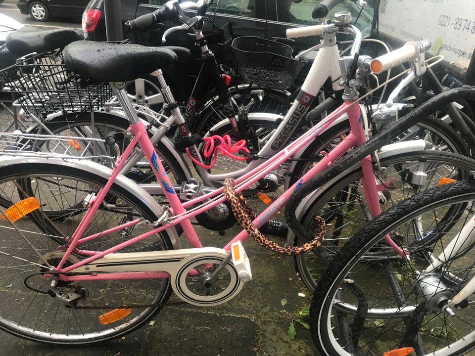 Rosanes Damenrad zu verkaufen in Köln