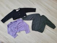 Größe 80 Mexx Zara H&M Bolero Strickjacke Jäckchen Schleswig-Holstein - Revensdorf Vorschau