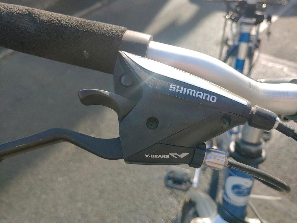 Damenfahrrad hochwertig mit Zubehör in Pegnitz