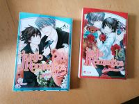 Mangas Bücher in Französisch und deutscher Sprache Nordrhein-Westfalen - Minden Vorschau