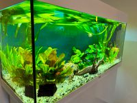 Aquarium 180I + Schrank & Zubehör Bayern - Pocking Vorschau