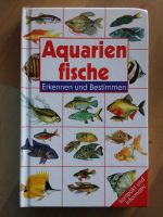 Aquarienfische Erkennen und Bestimmen Nordrhein-Westfalen - Hilchenbach Vorschau