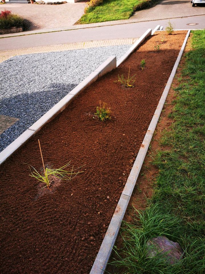 Gartenarbeiten alle Arten Termine frei in Dillingen (Saar)