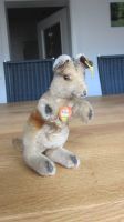 Steiff Känguru Kangoo, 14 cm, komplett, guter Zustand Hessen - Seligenstadt Vorschau