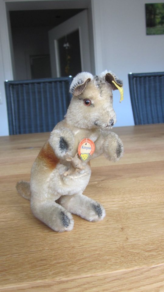Steiff Känguru Kangoo, 14 cm, komplett, guter Zustand in Seligenstadt