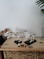 Lego Dinosaurier Fossilien Set Hessen - Gießen Vorschau