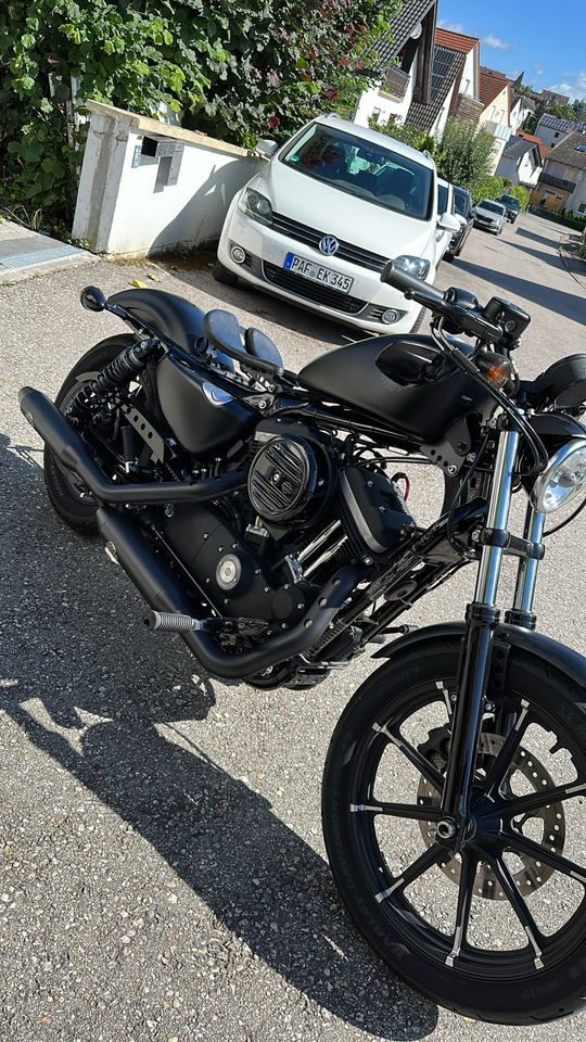 Harley Davidson Iron Sportster 883 in Scheyern