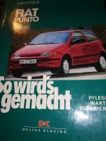 fiat punto ab 10  93 Nordrhein-Westfalen - Lengerich Vorschau