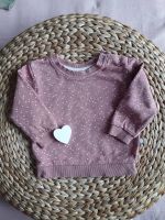 Baby Pullover Niedersachsen - Gifhorn Vorschau