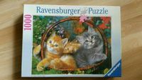 RavensburgerPuzzle 158386 "Zwei Kätzchen im Korb",1000 Teile,1992 Nordrhein-Westfalen - Willich Vorschau