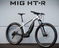 SONDERANGEBOT e-Bike, Pedelec, THOK MIG-HT Hessen - Linden Vorschau