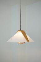 DOMUS Pendelleuchte Arta 2551 Lampe Hängelampe Mario Vivaldi 60er Nordrhein-Westfalen - Gütersloh Vorschau