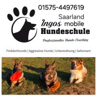 Hundetraining mobile Hundeschule Saarland - Schwalbach Vorschau