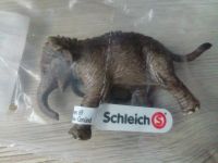 Schleich 14755 Asiatisches Elefantenbaby NEU Schleswig-Holstein - Schleswig Vorschau